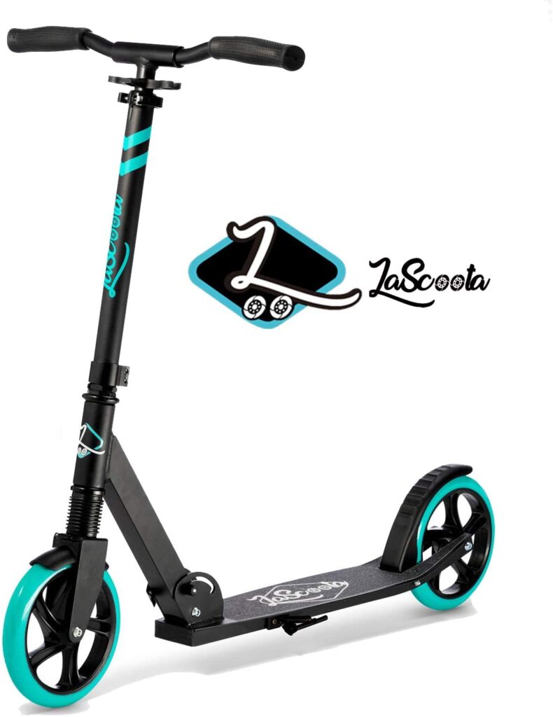 Lascoota electric Scooter