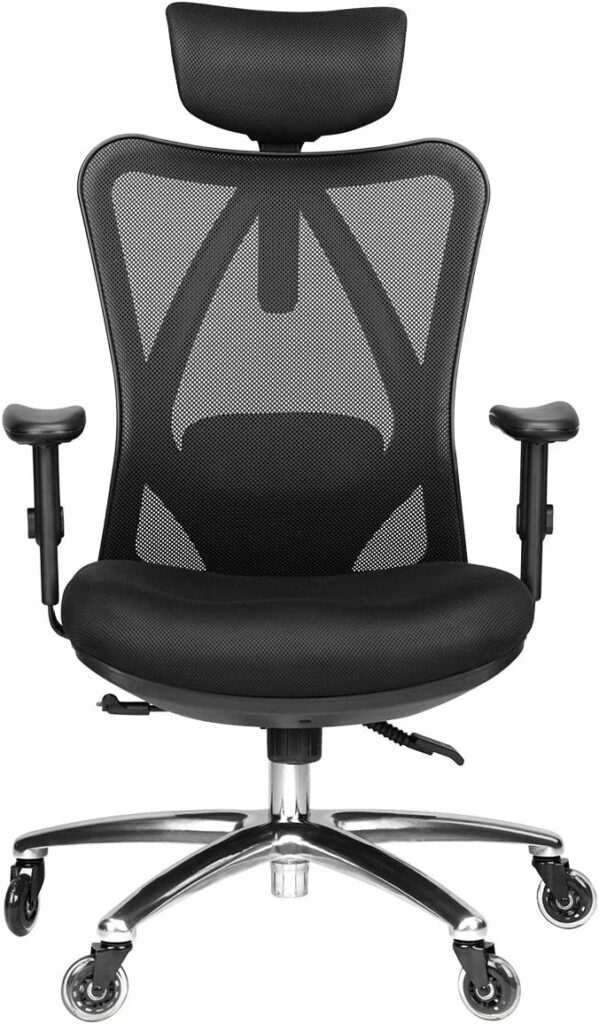 Duramont Ergonomic chair